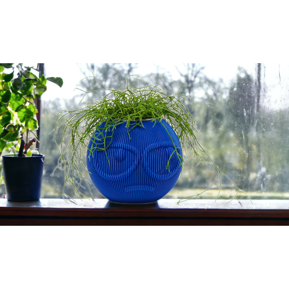 Funny Style Planter: Suspicious Dude Face, Emoji Inspired, Small Pot for Shelf
